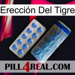 Erección Del Tigre 40